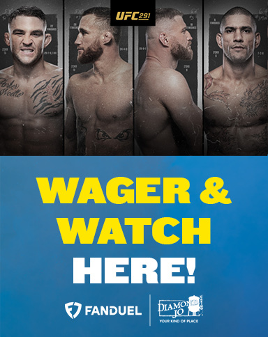 UFC 291
